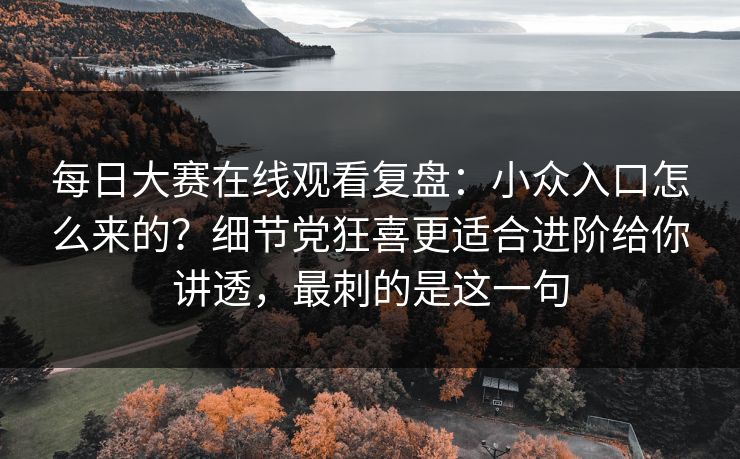 每日大赛在线观看复盘：小众入口怎么来的？细节党狂喜更适合进阶给你讲透，最刺的是这一句